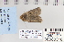  ( - CNCLEP 80318)  @12 [ ] CreativeCommons - Attribution Non-Commercial Share-Alike (2010) Canadian National Collection of Insects, Arachnids and Nematodes Canadian National Collection of Insects, Arachnids and Nematodes