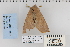  ( - CNCLEP 80359)  @12 [ ] CreativeCommons - Attribution Non-Commercial Share-Alike (2010) Canadian National Collection of Insects, Arachnids and Nematodes Canadian National Collection of Insects, Arachnids and Nematodes