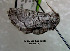  ( - acrorev199)  @12 [ ] Unspecified (default): All Rights Reserved (2012) Don Lafontaine Unspecified