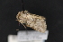  ( - CNCLEP 80387)  @12 [ ] CreativeCommons - Attribution Non-Commercial Share-Alike (2010) Canadian National Collection of Insects, Arachnids and Nematodes Canadian National Collection of Insects, Arachnids and Nematodes