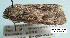  ( - acrorev161)  @13 [ ] Unspecified (default): All Rights Reserved (2012) Don Lafontaine Unspecified