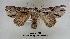  ( - acrorev182)  @14 [ ] Unspecified (default): All Rights Reserved (2012) Don Lafontaine Unspecified