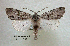  ( - acrorev194)  @14 [ ] Unspecified (default): All Rights Reserved (2012) Don Lafontaine Unspecified