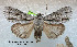  ( - acrorev200)  @13 [ ] Unspecified (default): All Rights Reserved (2012) Don Lafontaine Unspecified