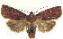  ( - 13-NCCC-023)  @15 [ ] CreativeCommons - Attribution (2013) CNC/CBG Photography Group Centre for Biodiversity Genomics