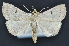  ( - CNCLEP 83710)  @14 [ ] CreativeCommons - Attribution (2013) CNC/CBG Photography Group Centre for Biodiversity Genomics