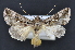  ( - CNCLEP 92206)  @14 [ ] CreativeCommons - Attribution (2013) CBG Photography Group Centre for Biodiversity Genomics