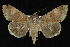  ( - CNCLEP 92289)  @14 [ ] CreativeCommons - Attribution (2013) CNC/CBG Photography Group Centre for Biodiversity Genomics