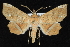  ( - CNCLEP 92317)  @14 [ ] CreativeCommons - Attribution (2013) CNC/CBG Photography Group Centre for Biodiversity Genomics