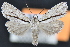  ( - CNCLEP 94235)  @14 [ ] CreativeCommons - Attribution (2013) CBG Photography Group Centre for Biodiversity Genomics