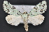  ( - CNCLEP 94263)  @14 [ ] CreativeCommons - Attribution (2013) CBG Photography Group Centre for Biodiversity Genomics