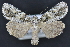  ( - CNCLEP 94264)  @14 [ ] CreativeCommons - Attribution (2013) CBG Photography Group Centre for Biodiversity Genomics