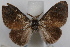  ( - DDAV-D274)  @11 [ ] CreativeCommons - Attribution (2010) Unspecified Centre for Biodiversity Genomics