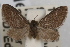  ( - DDAV-D278)  @14 [ ] CreativeCommons - Attribution (2010) Unspecified Centre for Biodiversity Genomics