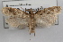  ( - DDAV-D296)  @14 [ ] CreativeCommons - Attribution (2010) Unspecified Centre for Biodiversity Genomics