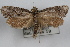  ( - DDAV-D464)  @13 [ ] CreativeCommons - Attribution (2010) Unspecified Centre for Biodiversity Genomics