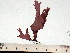  ( - GWS002970)  @13 [ ] CreativeCommons - Attribution Non-Commercial Share-Alike (2010) Unspecified University of New Brunswick