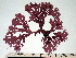  ( - GWS003016)  @13 [ ] CreativeCommons - Attribution Non-Commercial Share-Alike (2010) Unspecified University of New Brunswick