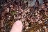  ( - GWS006467)  @11 [ ] Unspecified (default): All Rights Reserved  Unspecified Unspecified
