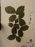  ( - TRHV 28738)  @11 [ ] CreativeCommons - Attribution Non-Commercial Share-Alike (2013) NTNU Museum of Natural History and Archaeology NTNU Museum of Natural History and Archaeology