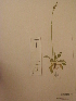  ( - TRHV 252904)  @11 [ ] CreativeCommons - Attribution Non-Commercial Share-Alike (2013) NTNU Museum of Natural History and Archaeology NTNU Museum of Natural History and Archaeology