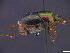  ( - cvb118bish001)  @11 [ ] CreativeCommons  Attribution Non-Commercial Share-Alike (2022) Christoph von Beeren TU Darmstadt