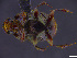  ( - cvb118bish001)  @11 [ ] CreativeCommons  Attribution Non-Commercial Share-Alike (2022) Christoph von Beeren TU Darmstadt