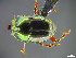  ( - cvb281laka001)  @11 [ ] CreativeCommons  Attribution Non-Commercial Share-Alike (2022) Christoph von Beeren TU Darmstadt