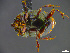  ( - cvb281laka001)  @11 [ ] CreativeCommons  Attribution Non-Commercial Share-Alike (2022) Christoph von Beeren TU Darmstadt