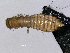  ( - cvb296_l3)  @11 [ ] CreativeCommons  Attribution Non-Commercial Share-Alike (2022) Christoph von Beeren TU Darmstadt
