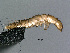  ( - cvb296_l3)  @11 [ ] CreativeCommons  Attribution Non-Commercial Share-Alike (2022) Christoph von Beeren TU Darmstadt