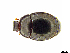  (Plagiogramma CVB61 - cvb377hist001)  @11 [ ] CreativeCommons - Attribution Share-Alike (2022) Christoph von Beeren Technische Universitat Darmstadt