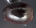  ( - cvb417hist021)  @11 [ ] CreativeCommons  Attribution Non-Commercial Share-Alik (2023) Christoph von Beeren TU Darmstadt