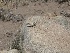  ( - 7287RAr)  @11 [ ] Unspecified (default): All Rights Reserved (2014) L.J. Avila CENPAT