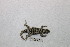  ( - 9563RAr)  @12 [ ] Unspecified (default): All Rights Reserved (2014) L.J. Avila CENPAT