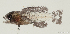  ( - T0102_018)  @11 [ ] CreativeCommons - Attribution Non-Commercial Share-Alike (2018) Henitsoa Jaonalison IH.SM, Toliara, Madagascar