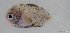  ( - T0202_004)  @11 [ ] CreativeCommons - Attribution Non-Commercial Share-Alike (2023) Henitsoa Jaonalison IH.SM, Toliara, Madagascar