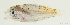  ( - T0202_010)  @11 [ ] CreativeCommons - Attribution Non-Commercial Share-Alike (2027) Henitsoa Jaonalison IH.SM, Toliara, Madagascar