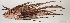  ( - T0503_007)  @11 [ ] CreativeCommons - Attribution Non-Commercial Share-Alike (2018) Henitsoa Jaonalison IH.SM, Toliara, Madagascar