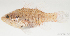  ( - T1202_002)  @11 [ ] CreativeCommons - Attribution Non-Commercial Share-Alike (2018) Henitsoa Jaonalison IH.SM, Toliara, Madagascar