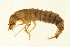  ( - 09PROBE-02576)  @12 [ ] CreativeCommons - Attribution (2009) Unspecified Centre for Biodiversity Genomics