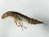  ( - 09PROBE-02592)  @13 [ ] CreativeCommons - Attribution (2009) Unspecified Centre for Biodiversity Genomics