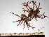  ( - GWS002052)  @11 [ ] CreativeCommons - Attribution Non-Commercial Share-Alike (2010) Unspecified University of New Brunswick