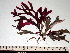 ( - GWS002440)  @11 [ ] CreativeCommons - Attribution Non-Commercial Share-Alike (2010) Unspecified University of New Brunswick