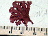  ( - GWS004582)  @13 [ ] CreativeCommons - Attribution Non-Commercial Share-Alike (2010) Unspecified University of New Brunswick