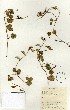  ( - TM012)  @11 [ ] No Rights Reserved  Unspecified Unspecified