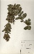  ( - TM013)  @11 [ ] No Rights Reserved  Unspecified Unspecified