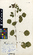  ( - TM064)  @11 [ ] No Rights Reserved  Unspecified Unspecified