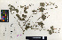  ( - TM066)  @11 [ ] No Rights Reserved  Unspecified Unspecified