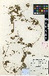  ( - TM070)  @11 [ ] No Rights Reserved  Unspecified Unspecified